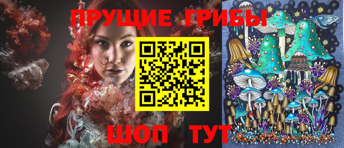 Галлюциногенные грибы прущие грибы  сколько стоит  Алатырь  Вход с VPN 